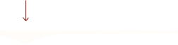 Separator Experiences